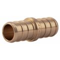 American Imaginations 0.75 in. x 0.75 in. Lead Free Brass Pex Coupling AI-35133